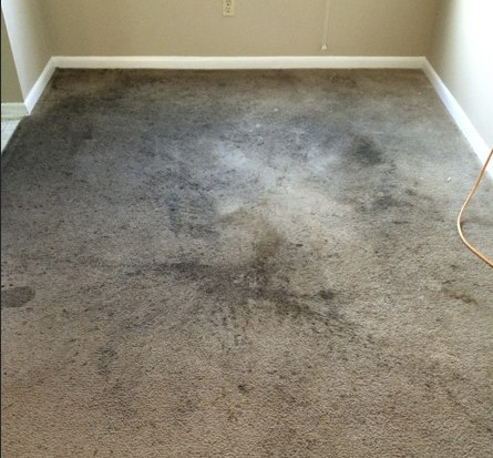 Before cleaning 3